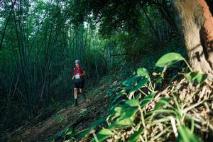 BIB: 
                            <button type="button" onclick="openModal(28124199)" class="btn btn-primary btn-sm float-right btn-popup" data-toggle="modal" data-target=".modal-high-quality">
                        <i class="fas fa-shopping-cart"></i> Add to Cart
                    </button>
                                            <button type="button" onclick="isThisMe(28124199, true)" class="btn btn-success btn-sm float-right btn-popup btn-isme hidden" data-toggle="tooltip" data-placement="bottom" title="นี่คือรูปของคุณใช่ไหม คลิกที่นี่เพื่อเอาเข้าอัลบั้ม">
                        <i class="fas fa-plus"></i> Add to album
                    </button>
                    <button type="button" onclick="isThisMe(28124199, false)" class="btn btn-warning btn-sm float-right btn-popup btn-isnotme hidden">
                        <i class="fas fa-ban"></i> Remove from album
                    </button>